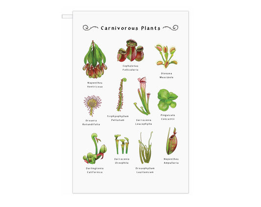 Carnivorous Plants Cotton Tea Towel - Yeti Cards And Gifts