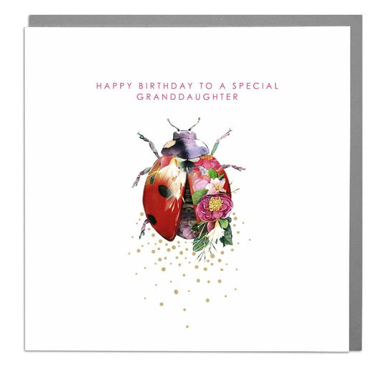Ladybird Special Granddaughter Birthday Card - Lola Design