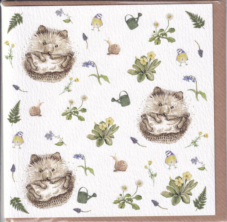 Hedgehogs Greeting Card - West Country Designs